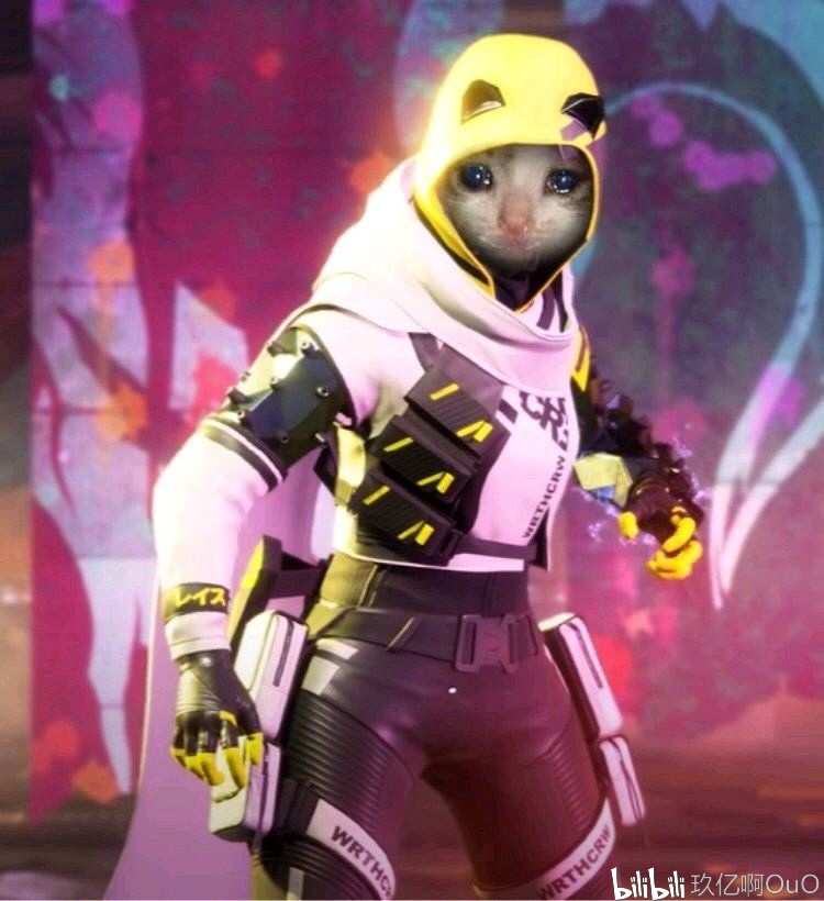 Woro2k 评论了他今天在 Heroic 的首次亮相